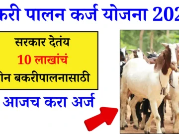 Bakri Palan Business Loan
