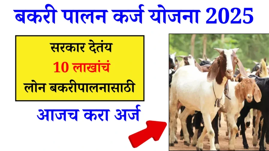 Bakri Palan Business Loan